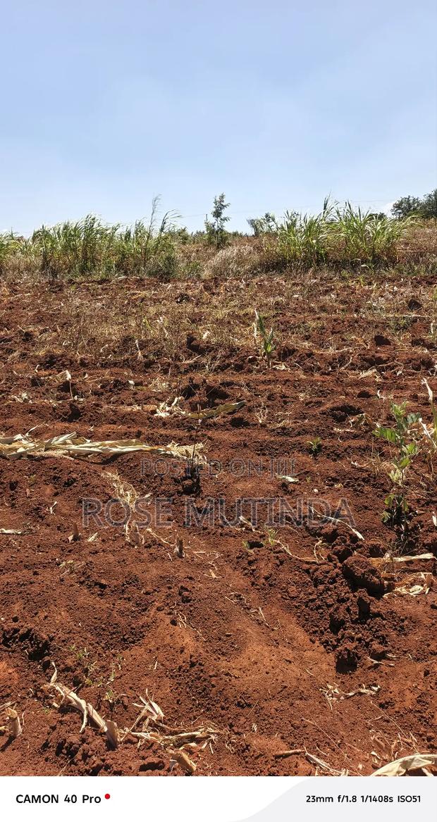 Kyanzavi Farm - thumbnail 6