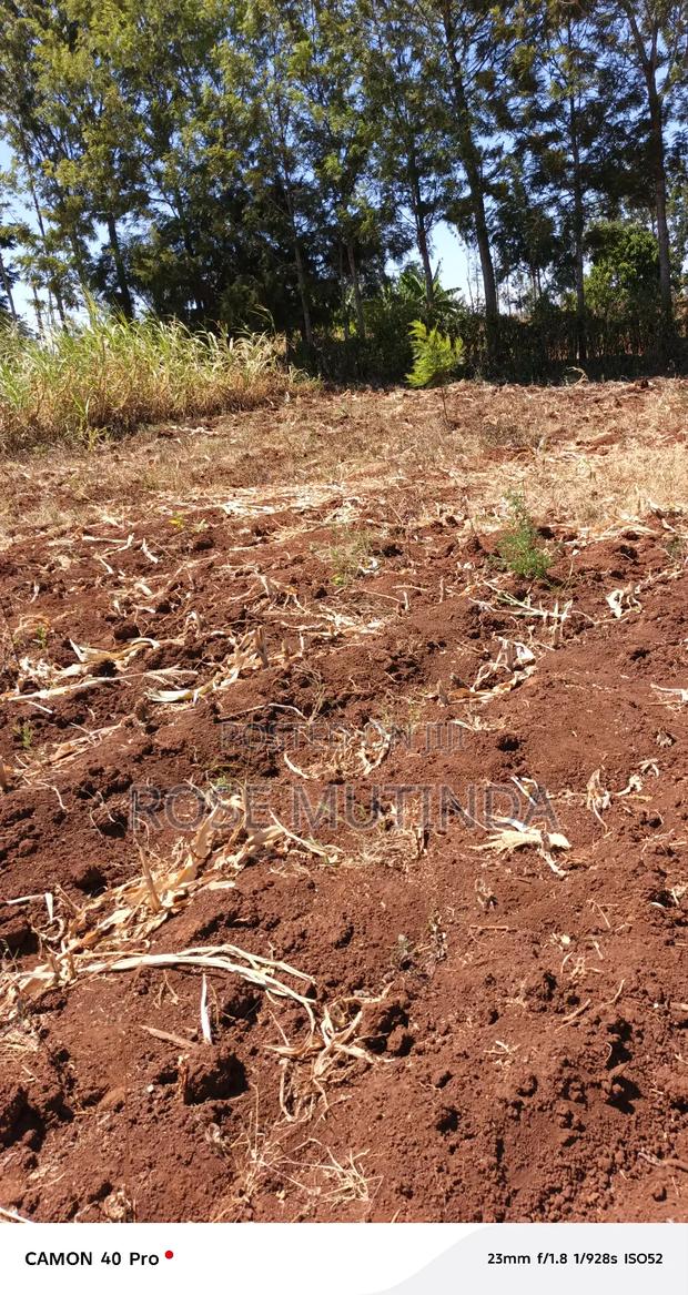 Kyanzavi Farm - thumbnail 7