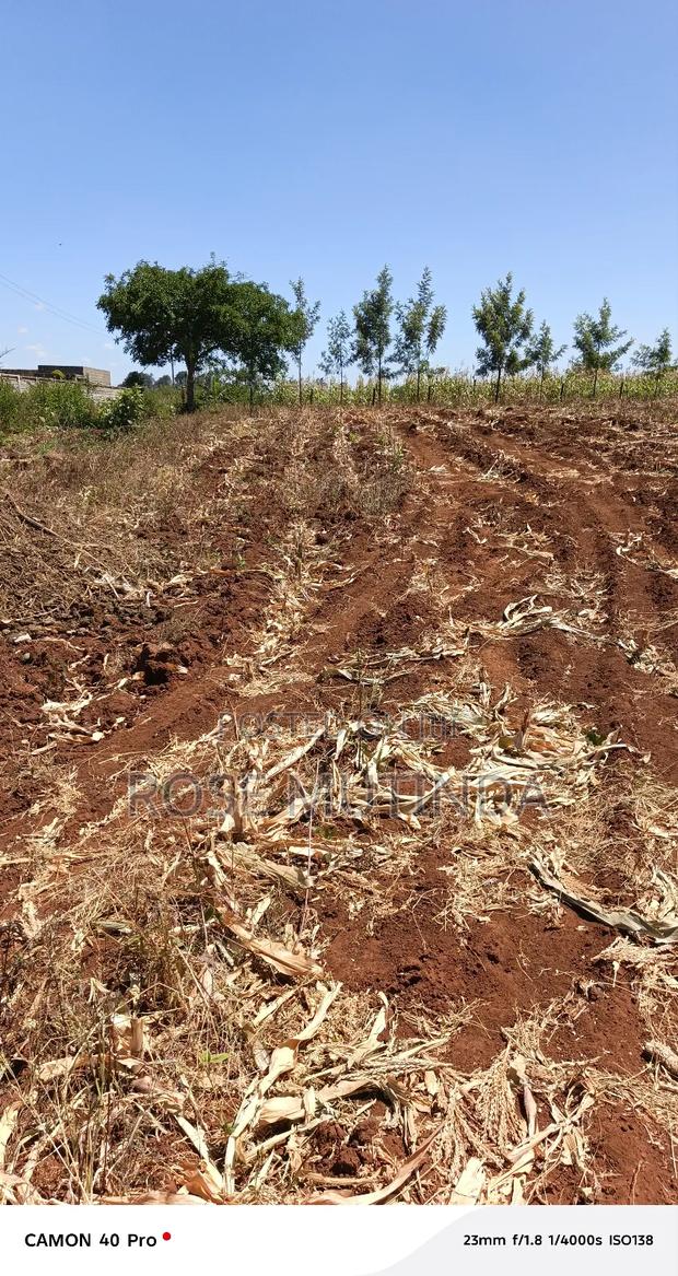 Kyanzavi Farm - thumbnail 8