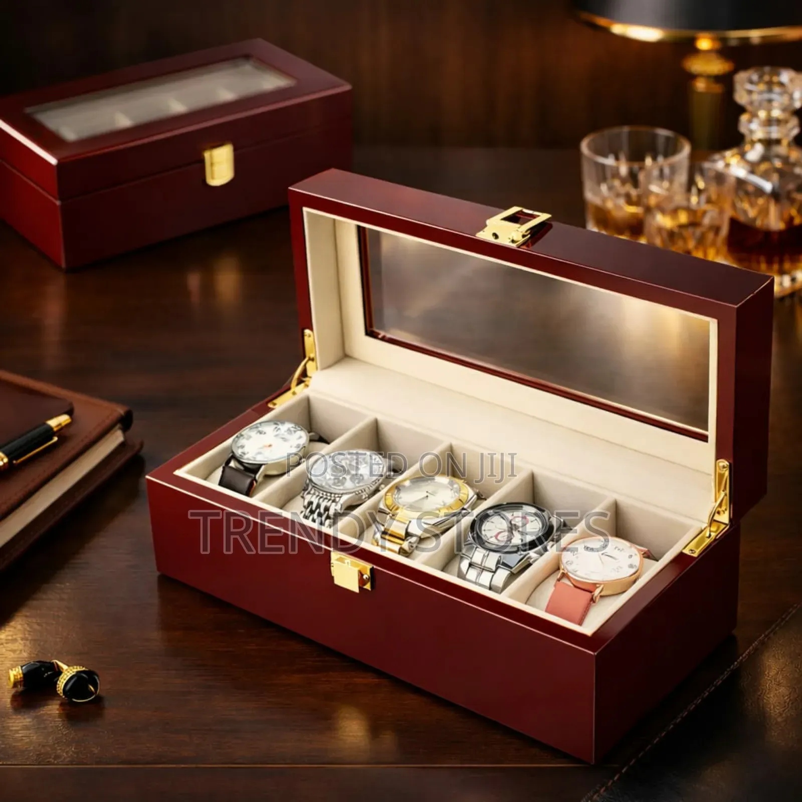 Travel Watch Organizer