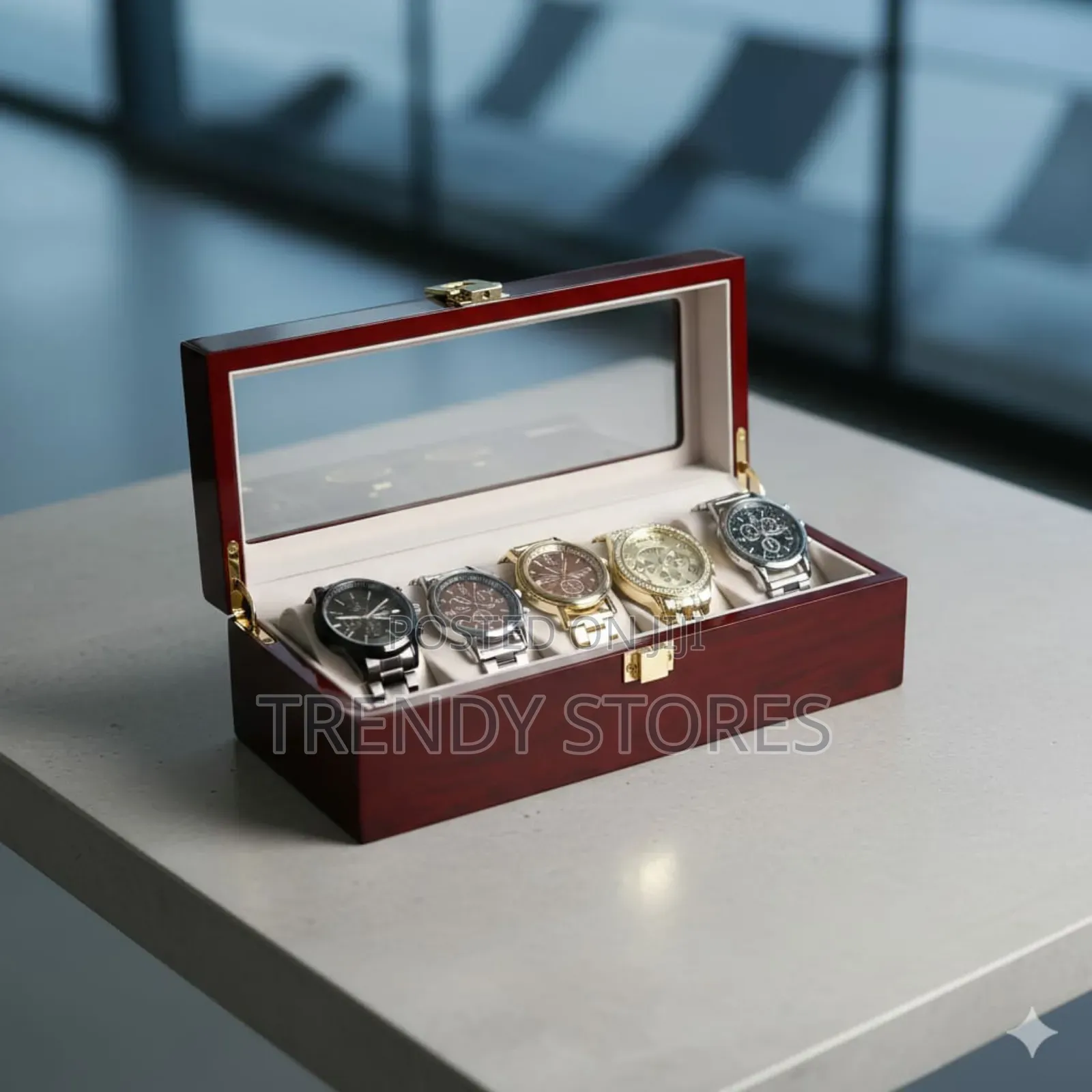 Travel Watch Organizer