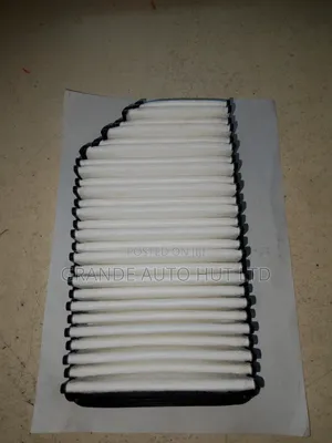 Air Filter Hyundai Accent/Rio 2010 (Js Brand)