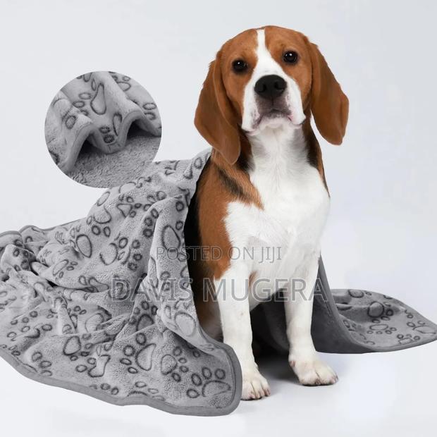 Polyester Microplush Dog Cat Blanket, Grey - Small (60cm×40cm) - main view