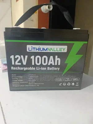 12.8v 100ah
Lithium Valley