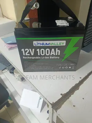 12.8v 100ah
Lithium Valley