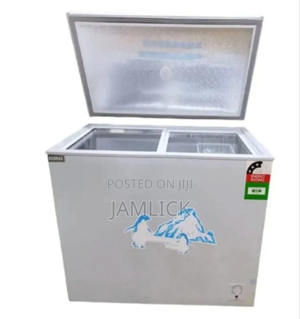219l Ecomax Freezer –Ab - main view