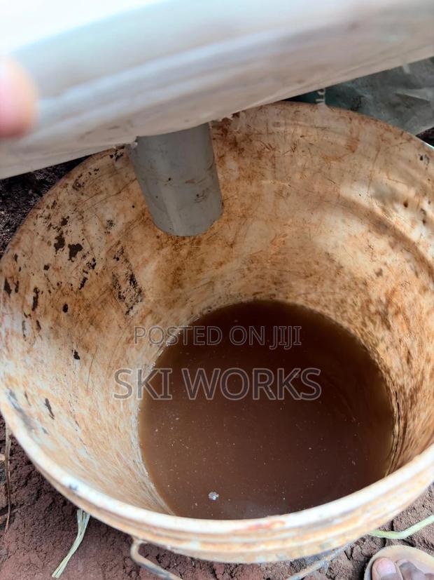 Rabbit Urine - main view