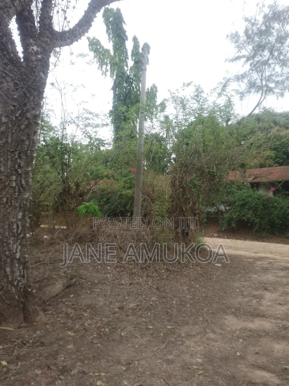 1 Acre Land at Mtepeni