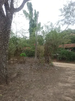 1 Acre Land at Mtepeni