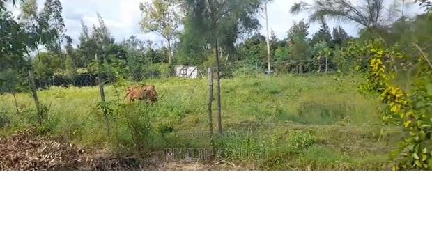 Plot for Sale - thumbnail 2