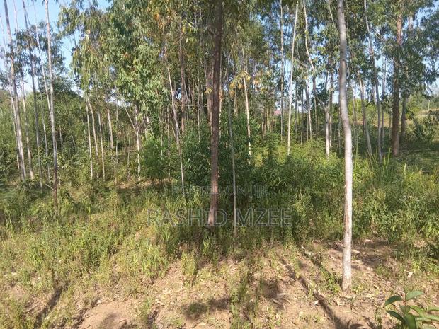 Land for Sale - main view