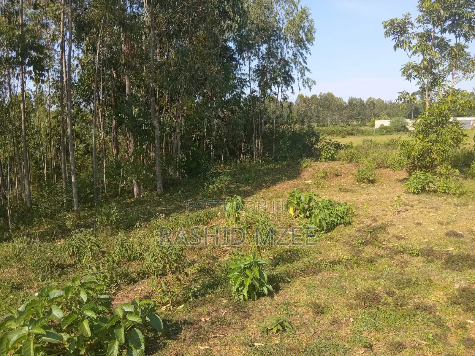 Land for Sale