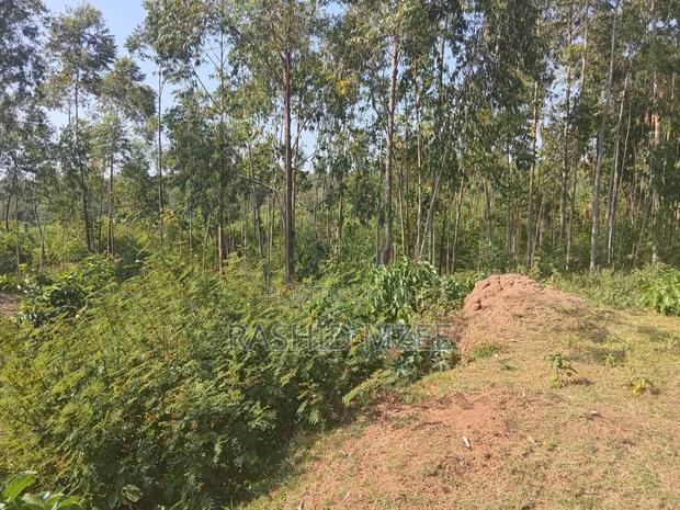 Land for Sale - thumbnail 6