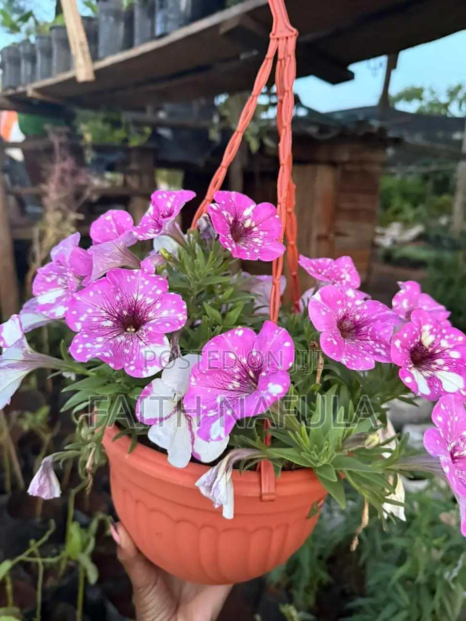 Residential and Commercial Landscaping Services