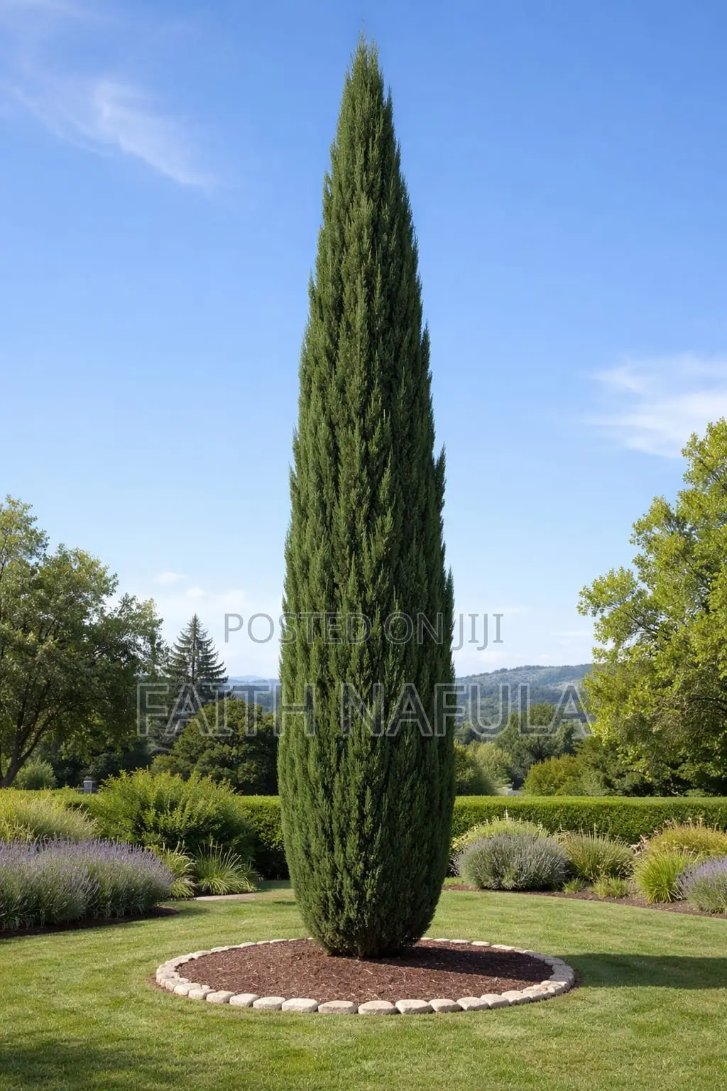 Residential and Commercial Landscaping Services