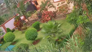 Landscaping and Gardening.