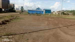 Kitengela Acacia - thumbnail 2