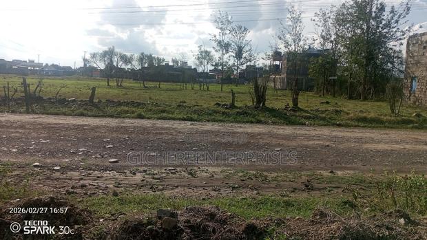 Kitengela Acacia - thumbnail 5