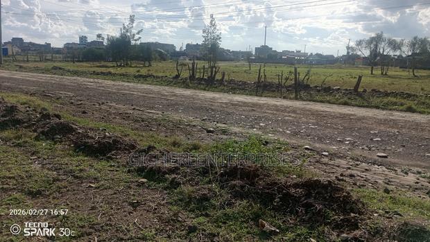 Kitengela Acacia - thumbnail 6