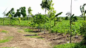 Affordable Land for Sale in Marereni Secondary School