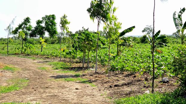 Affordable Land for Sale in Marereni Secondary School