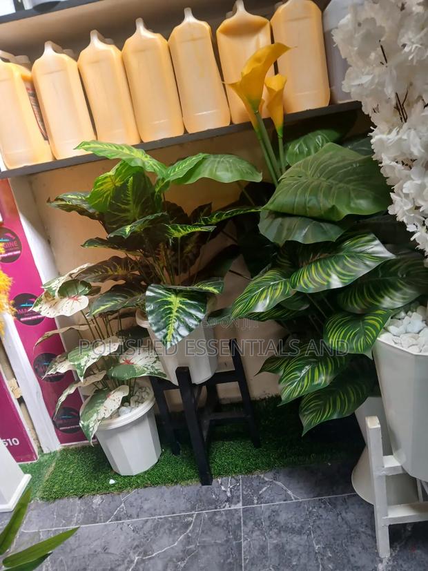 Artificial Natural Like Plants - main view