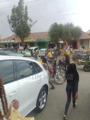 0.36 Hectare Naivasha CBD - thumbnail 2