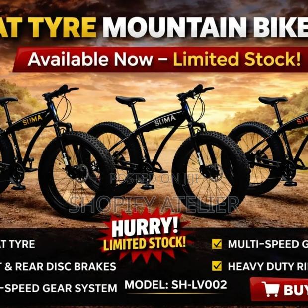 Fat Tire Bike - main view