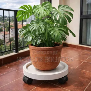 Movable Flower Pot/Gas Cylinder Pallet.