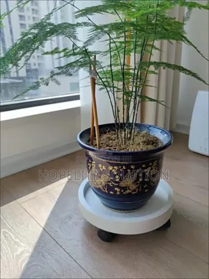 Movable Flower Pot/Gas Cylinder Pallet.