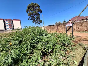 100x100 Plot Zambezi/ Kiambaa Near Kamuguga Primary School