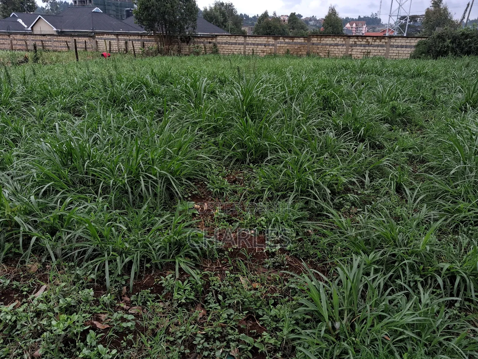 100x100 Plot Zambezi/ Kiambaa Near Kamuguga Primary School