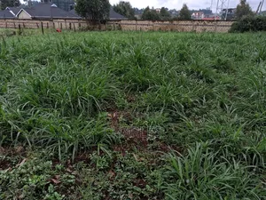 100x100 Plot Zambezi/ Kiambaa Near Kamuguga Primary School