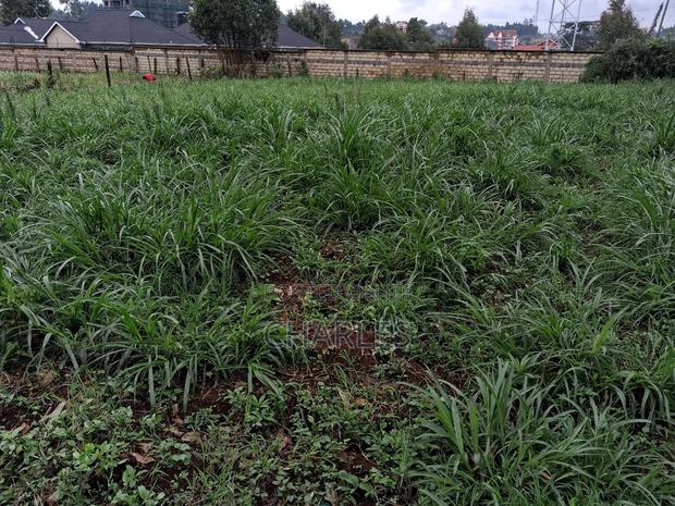 100x100 Plot Zambezi/ Kiambaa Near Kamuguga Primary School - thumbnail 4