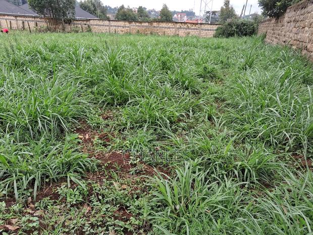 100x100 Plot Zambezi/ Kiambaa Near Kamuguga Primary School - thumbnail 6