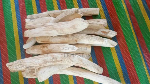 Mihogo/Cassava - main view