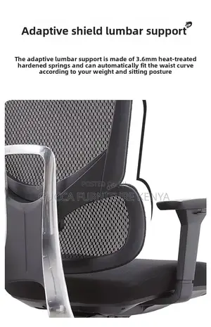 Executive Orthopedic Office Desk Chair