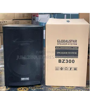 Globalstar Bz300 15inches No Amplifire Speaker System -Black