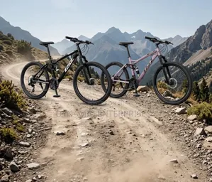 26" TSN Suspension Mountain Bike
