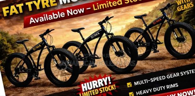 **Fat Tyre Mountain Bike Sh-Lv002**
