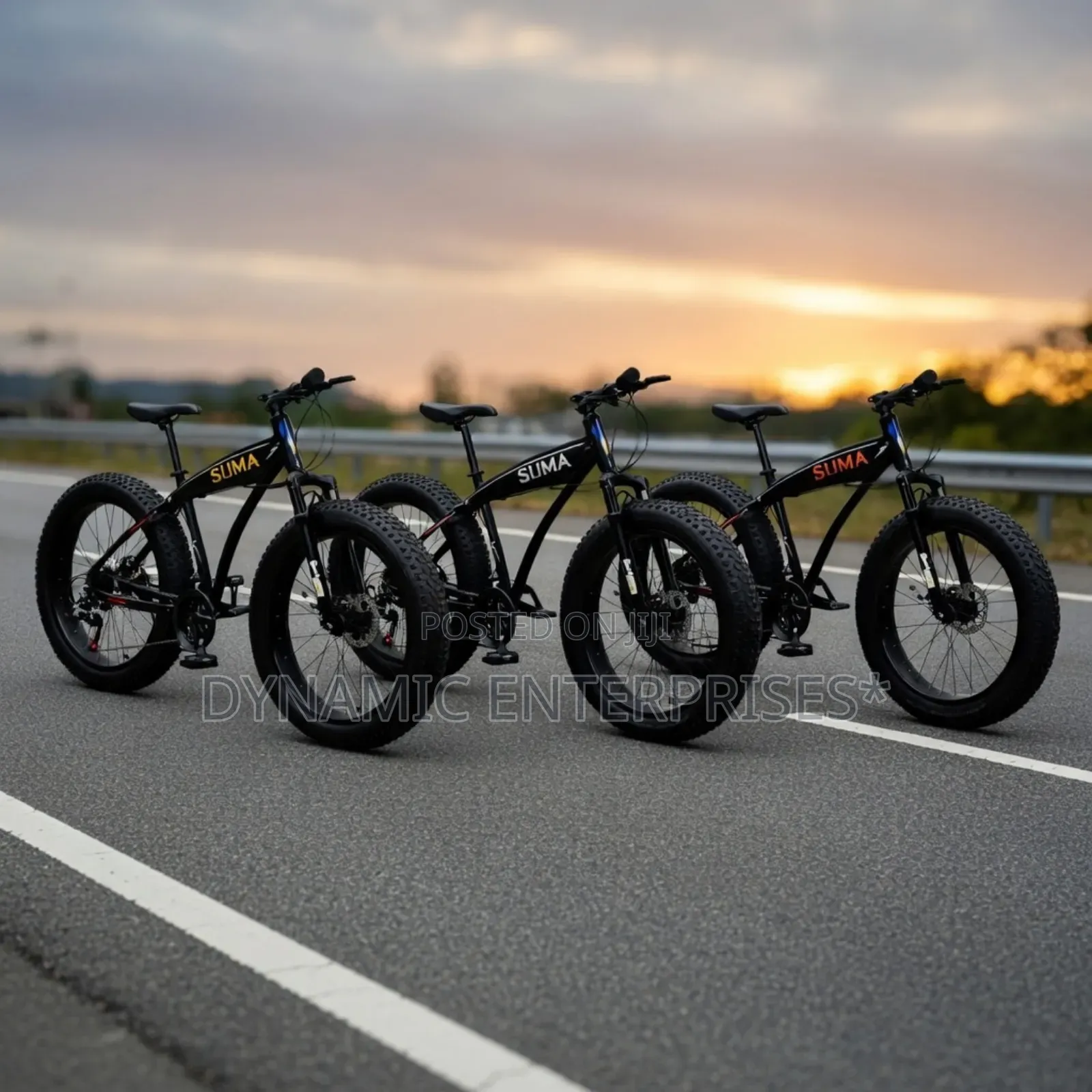 Suma Fat Tyre Mountain Bike.