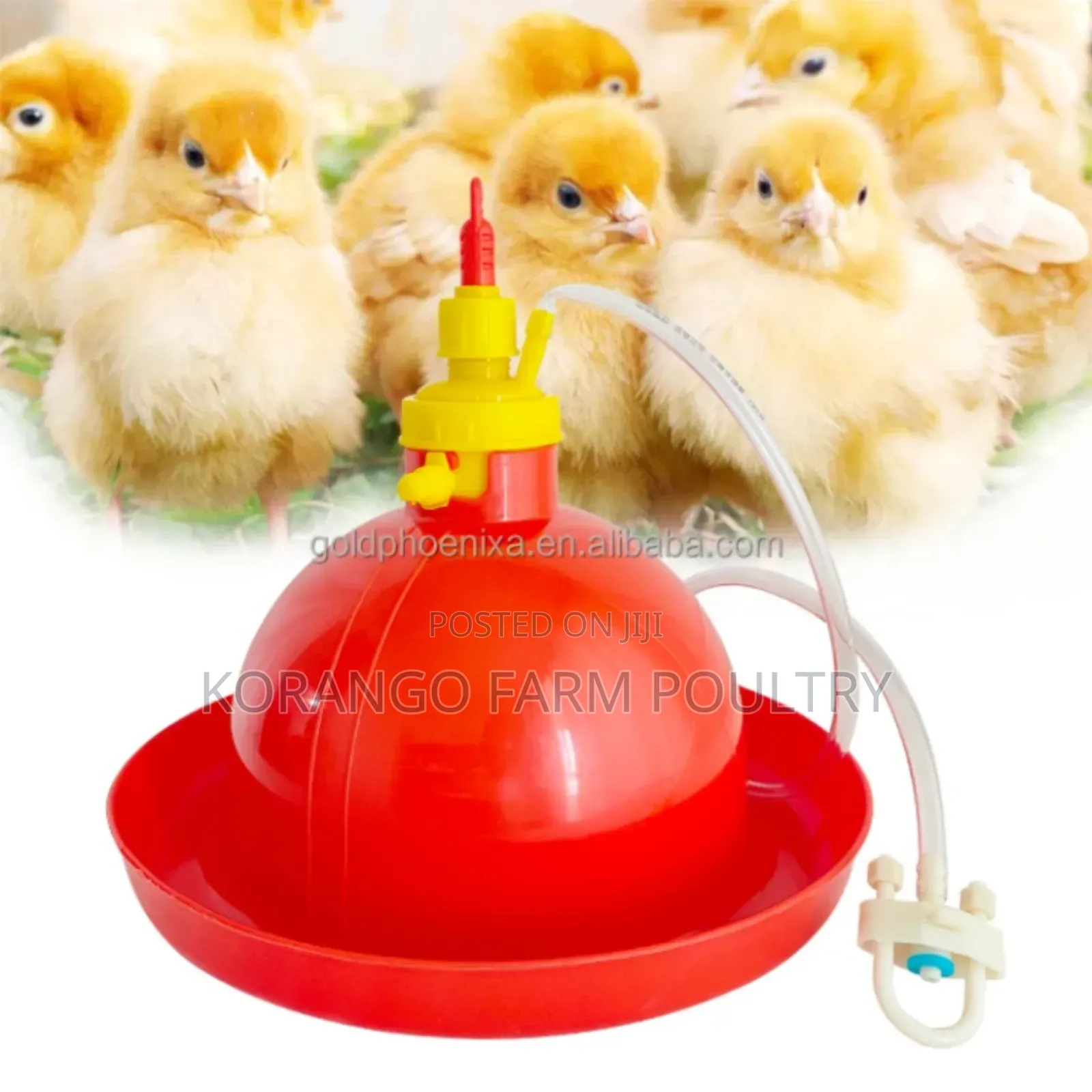 Bell Drinkers