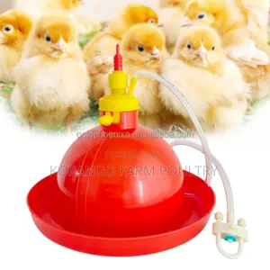 Bell Drinkers