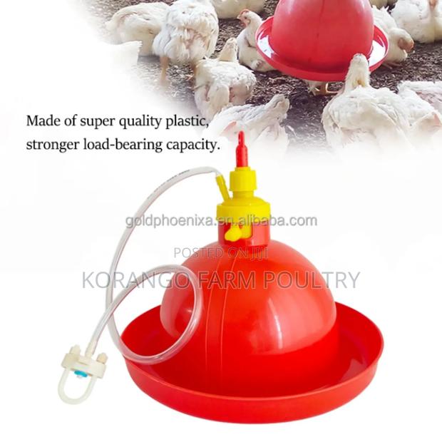 Bell Drinkers - thumbnail 3