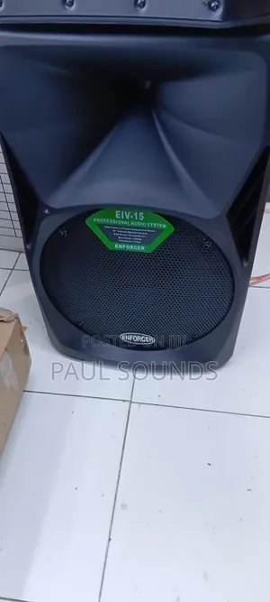 Enforcer Eiv-15 Professional 15-Inch Loudspeaker System