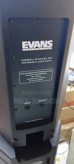 Evans15p 15-Inch Passive Plastic Pa Speaker
