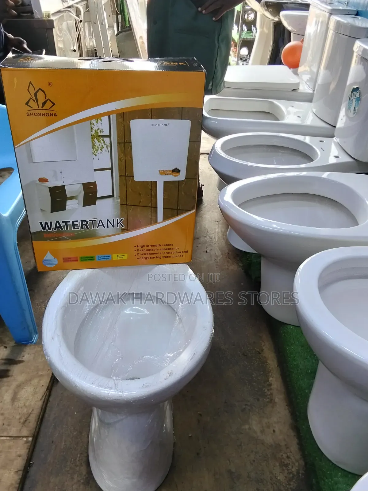 Ordinary Plastic Cistern and Toilet