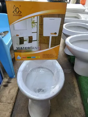 Ordinary Plastic Cistern and Toilet