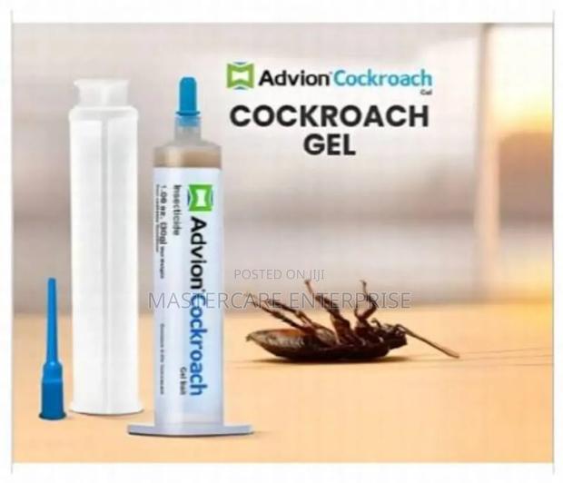 Effective Advion Gel 30 Grams