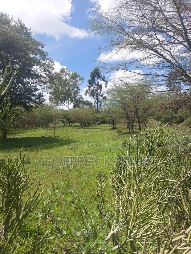 1 Acre Plot in Ngoroi - For Sale: - thumbnail 2